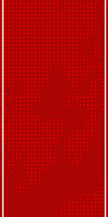 بنر عمودی موبایل ۱۲۰x۲۴۰ پیکسل (Mobile Vertical Banner)